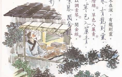 将星华盖《八字神煞》