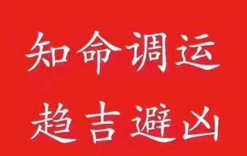 什么是“有情”?