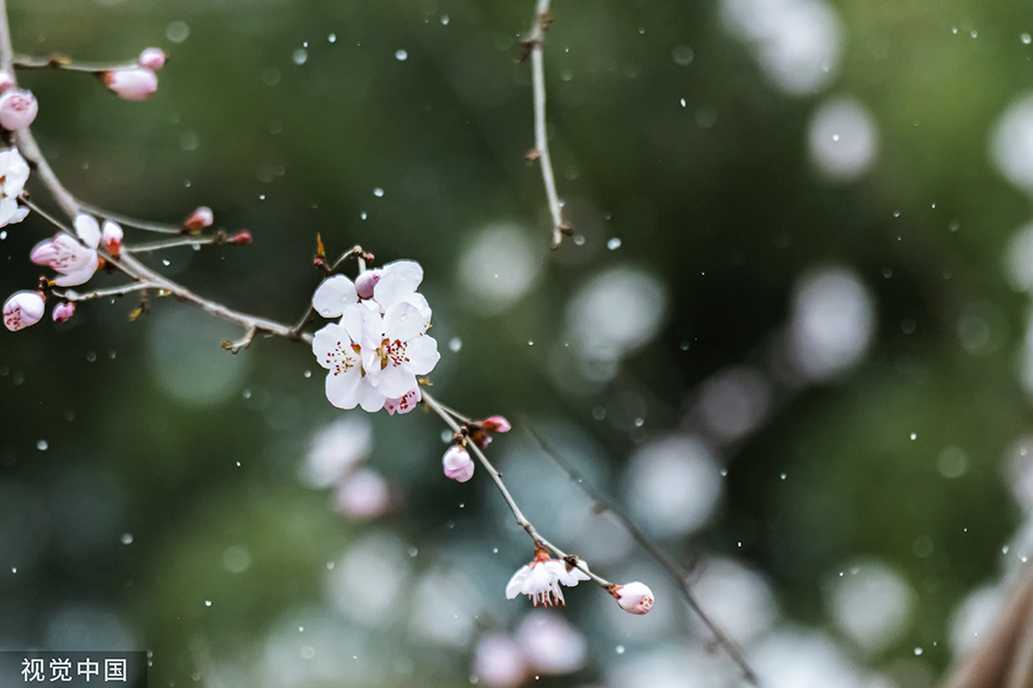 中国二十四节气之春分春分后雪怎么办？如何正确看待