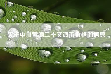 关于中川黄铜二十文铜币价格的信息 丙午户部大清铜币二十文现在值多少钱