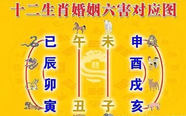 城头土婚姻性格事业如何丁丑年丁丑年土的生肖