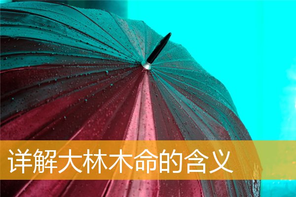 沙中土命和大林木命能结婚吗？你知道吗