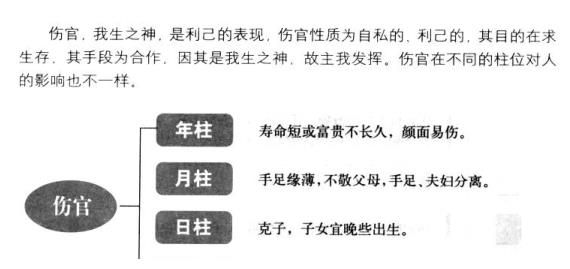 如何通过八字食伤格预测一个人的财运和官运？探讨财旺生官的人的特征