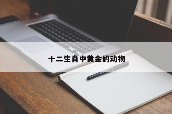 Youris金代表什么动物?金是代表十二生肖的哪一只动物你好