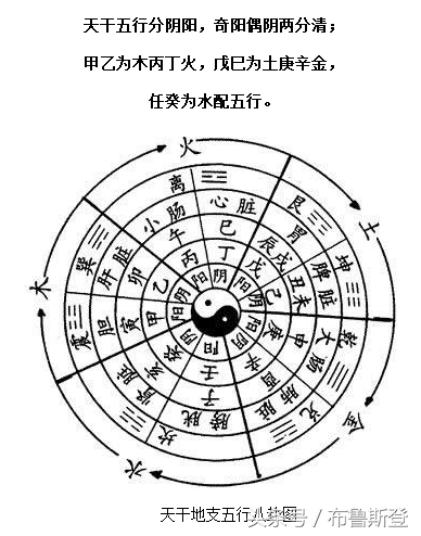 将星查法表,将星查法表格