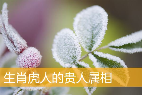 査风水堂：贵人之力量便越强