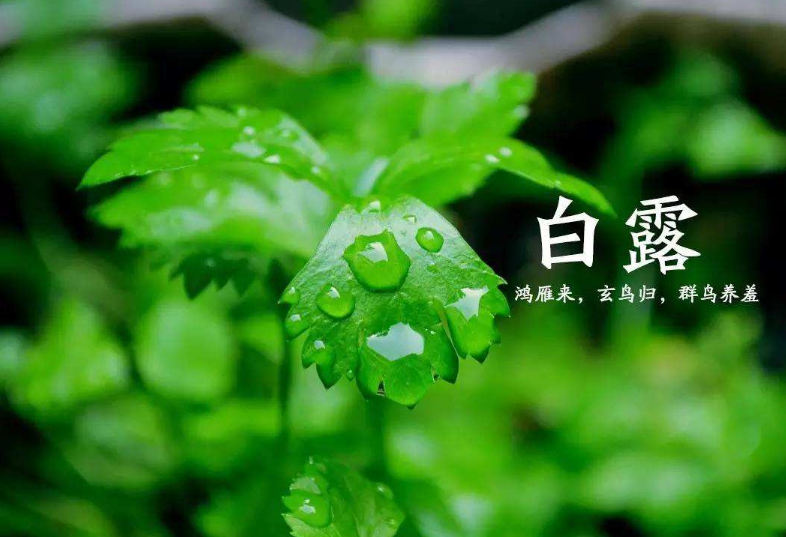 风水堂：本月生肖与日格