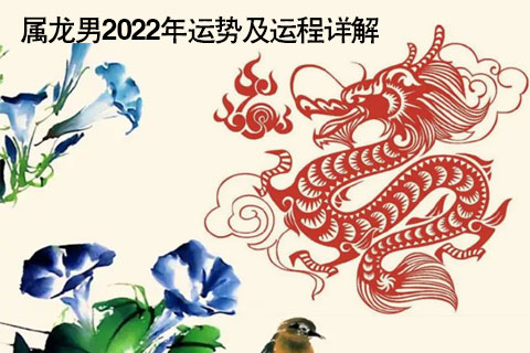 1976年农历四月二十一出生的是什么龙，2019年运势如何