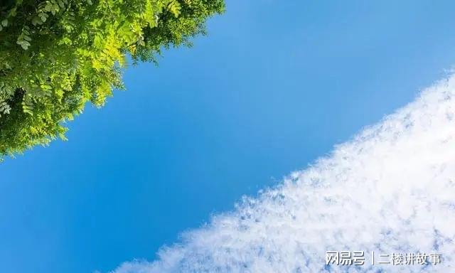 风水堂：将来能靠这个技术养活自己吗