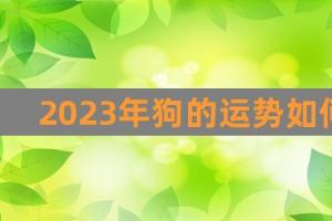 2023年狗的运势如何(属狗的2023年每月运势及运程)