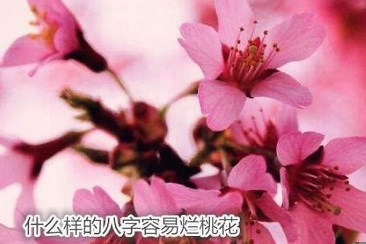 本命年有烂桃花