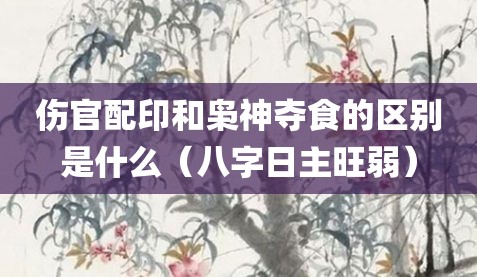 伤官配印和枭神夺食的区别是什么（八字日主旺弱）