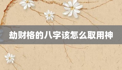 劫财格的八字该怎么取用神