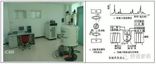 （知识点）水分子团与水的作用有哪些？