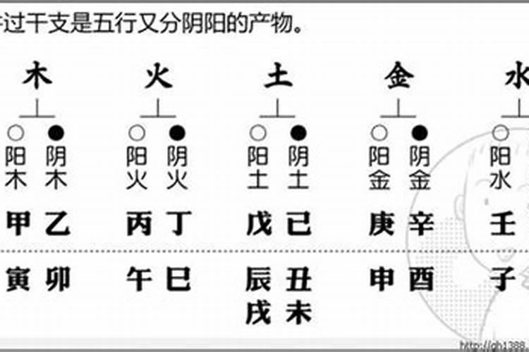 风水堂:八字六冲五合口诀