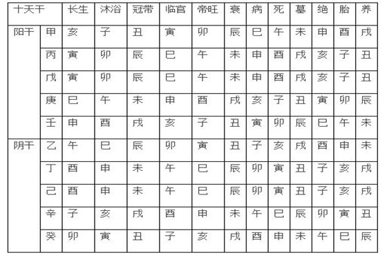 五行属金养什么宠物好?养猫能够旺财运吗