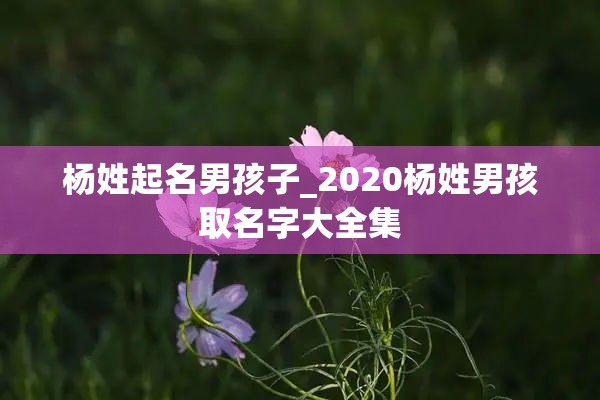 杨姓起名男孩子_2020杨姓男孩取名字大全集