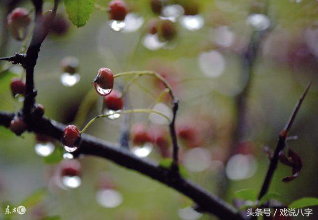 天干有壬癸水的人