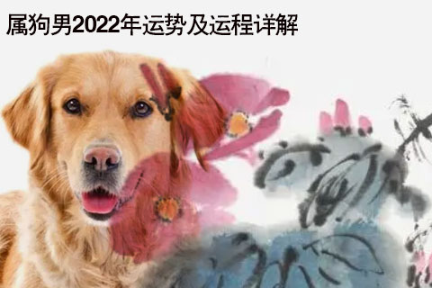 2017鸡年生肖狗人2023年运程及破解办法！