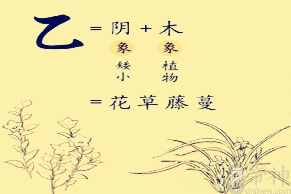 风水堂:八字木旺的人特征