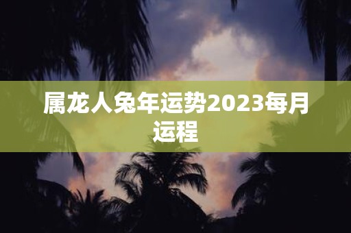 属龙人兔年运势2023每月运程