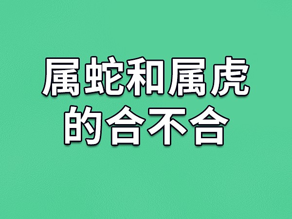 属虎可以与属龙的相配吗？好吗