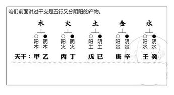 丙火和癸水的关系，丙火见癸水最贵