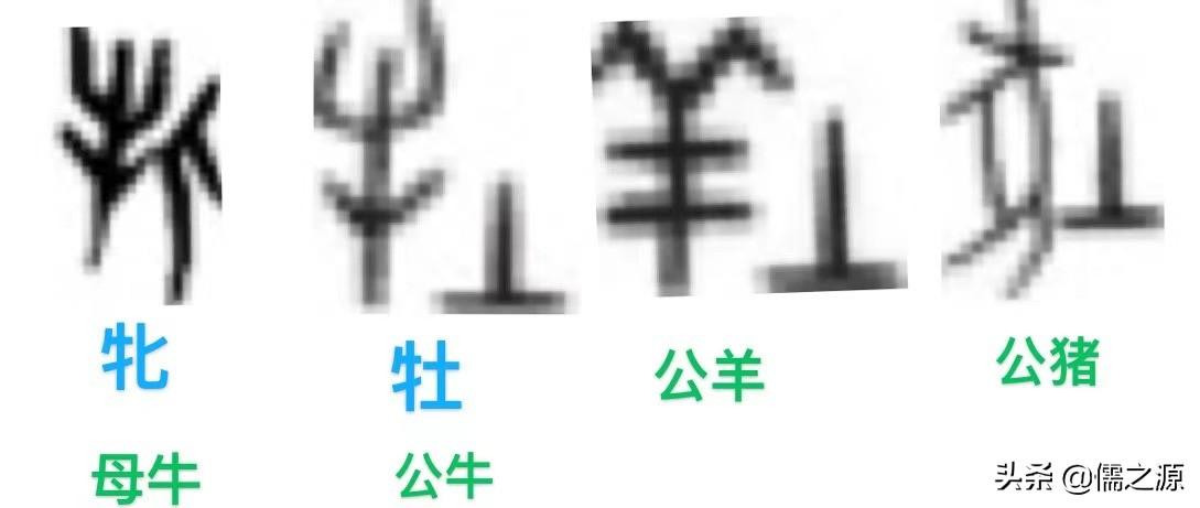 天干十二地支讲解 风水堂：十二个字的造字起源