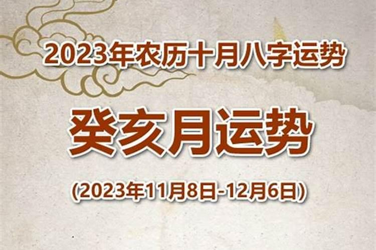 不同日柱看2023年辛丑年运势