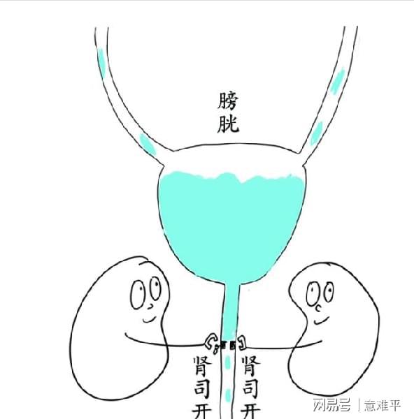 风水堂：懂得五行的女人才能真的健康漂亮