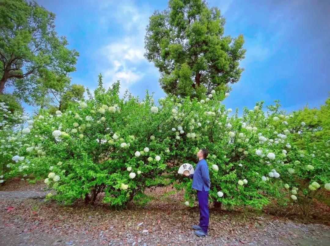 风水堂:八字对妻子不好的男命