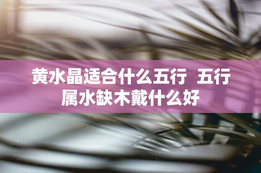 黄水晶适合什么五行  五行属水缺木戴什么好