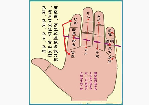 甲子日乙亥时生 ㊙风水堂:㊙️有什么样的数字